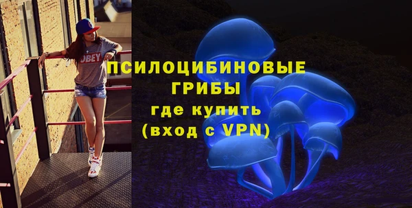 гашишное масло Богородицк