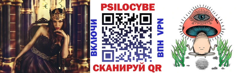 Псилоцибиновые грибы Psilocybe Саратов